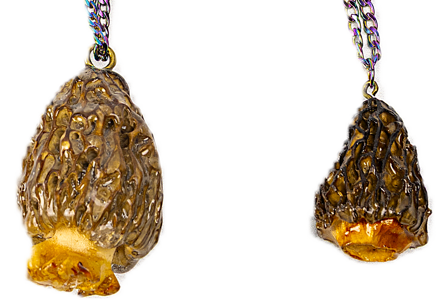Real Morel Mushroom Necklace