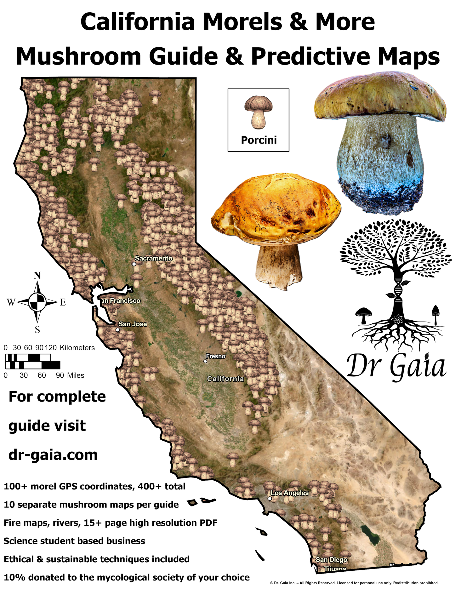California (Central & South) Morels & More Mushroom Guide & Predictive Maps