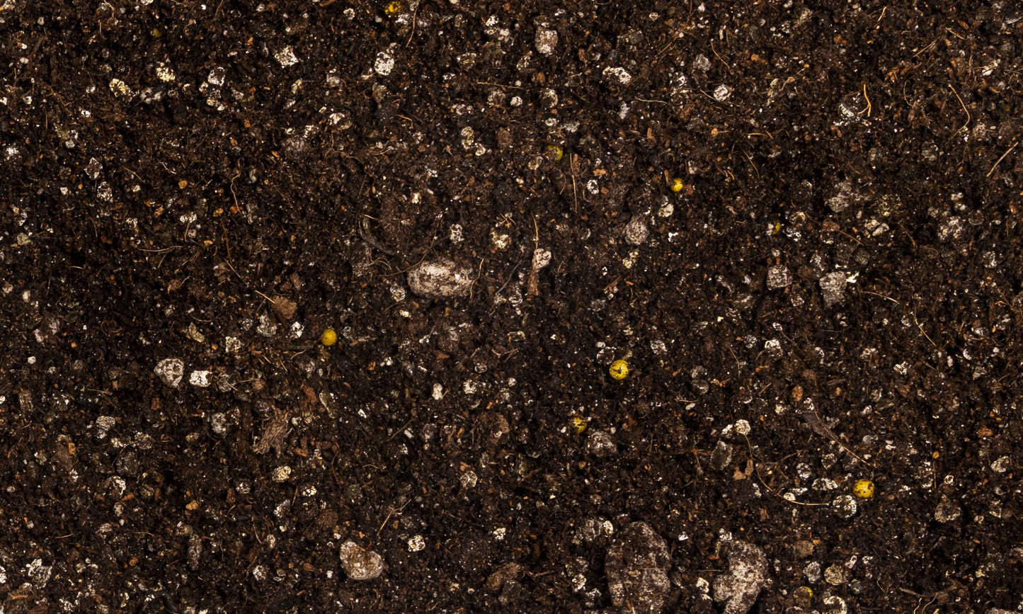 Living Garden Soil - 1 Gallon