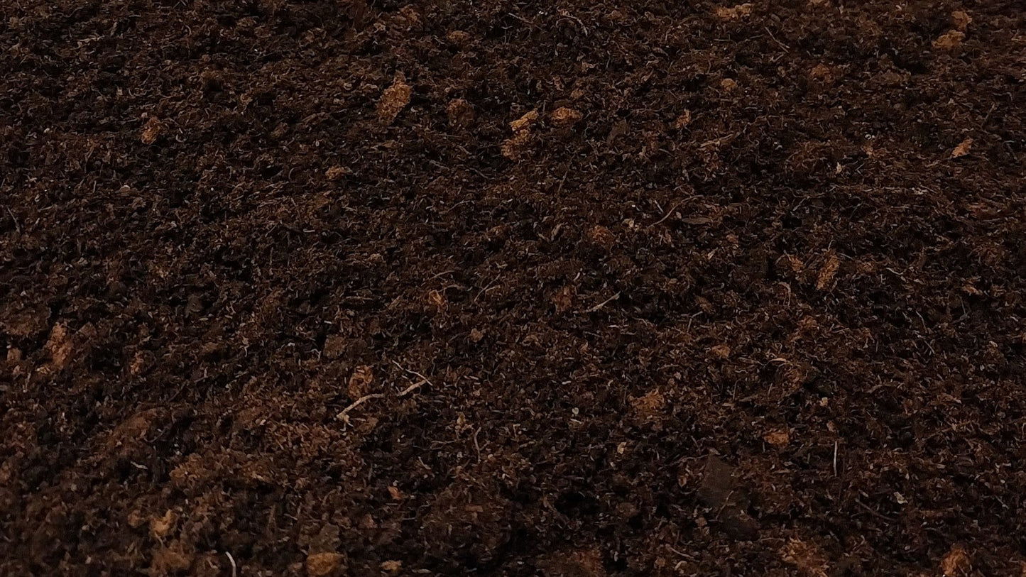 Moss treatment - Grass Spot Fill
