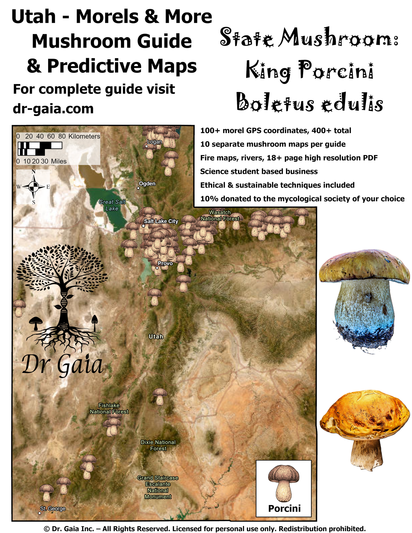 Utah Morels & More Mushroom Guide & Predictive Maps