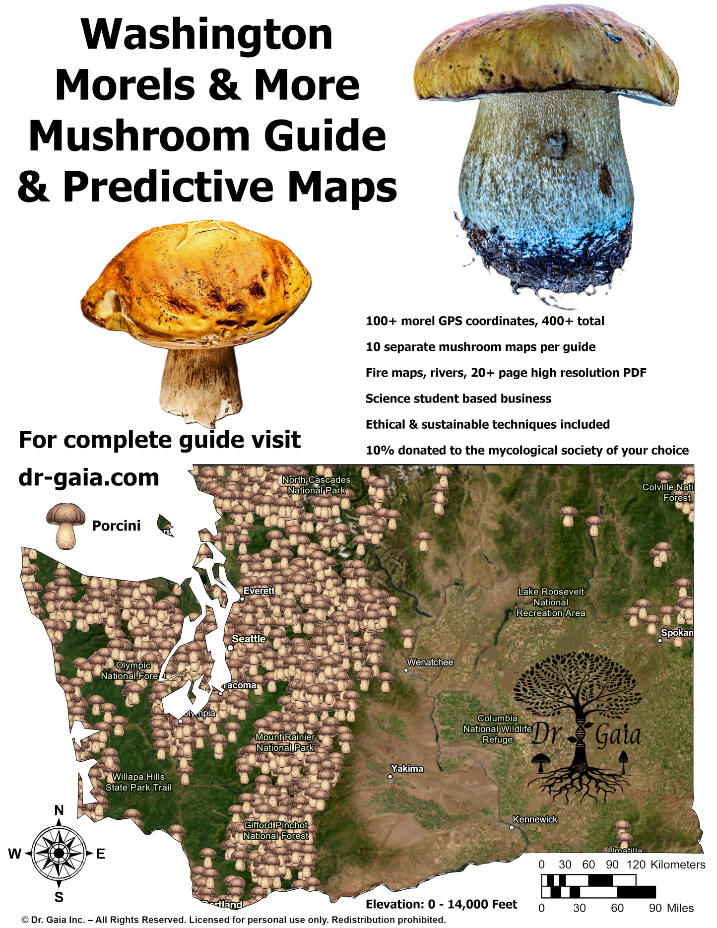Washington Morels & More Mushroom Guide & Predictive Maps
