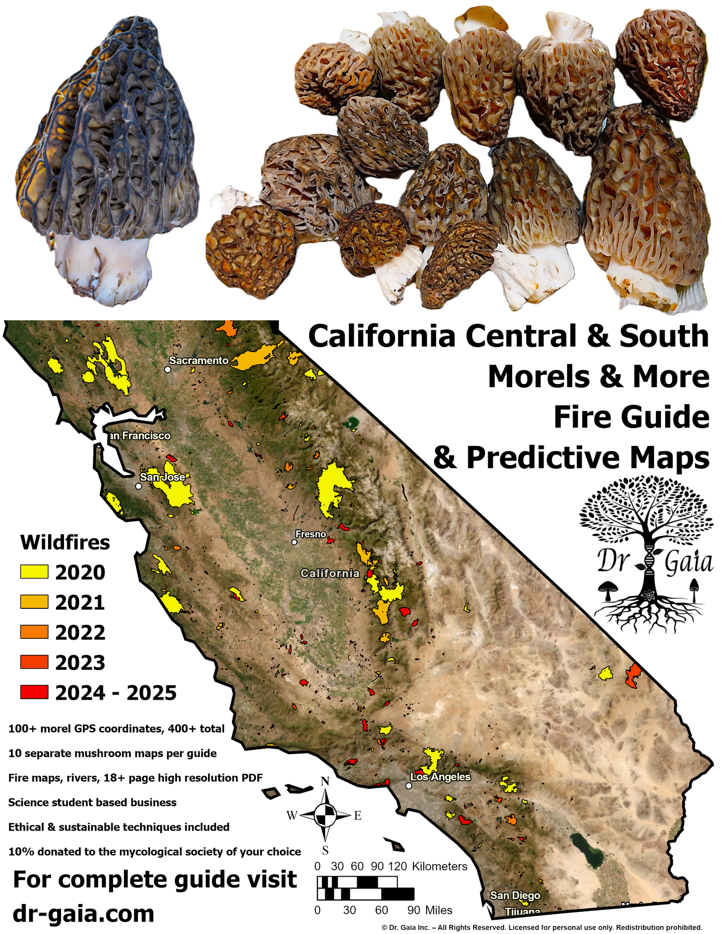 California (Central & South) Morels & More Mushroom Guide & Predictive Maps