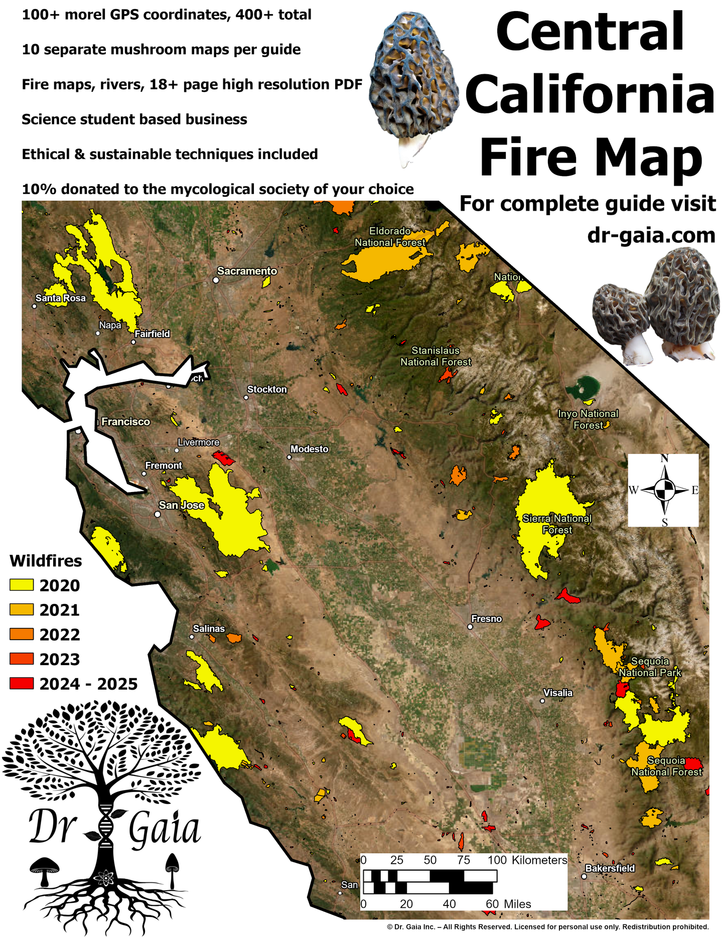 California (Central & South) Morels & More Mushroom Guide & Predictive Maps