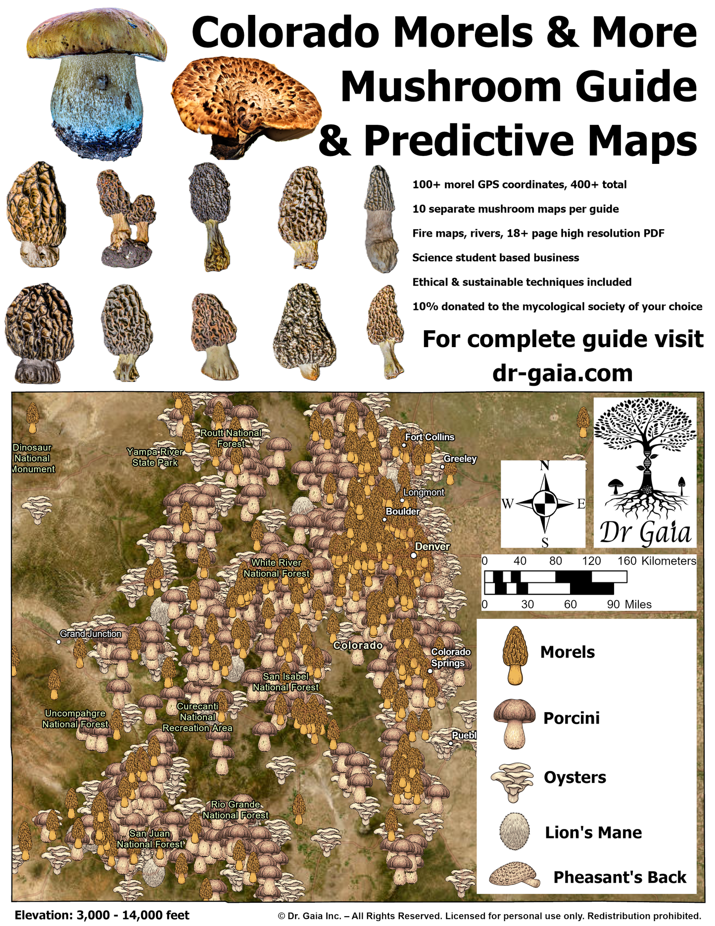 Colorado Morels & More Mushroom Guide & Predictive Maps