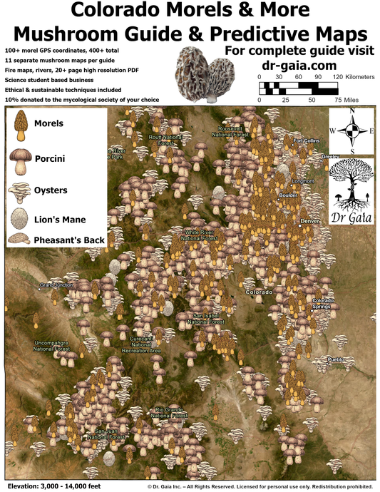 Colorado Morels & More Mushroom Guide & Predictive Maps