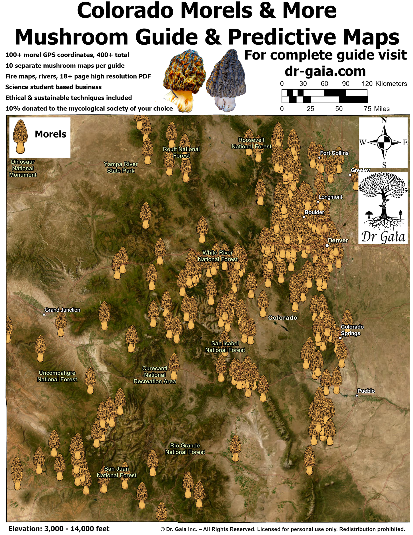 Colorado Morels & More Mushroom Guide & Predictive Maps