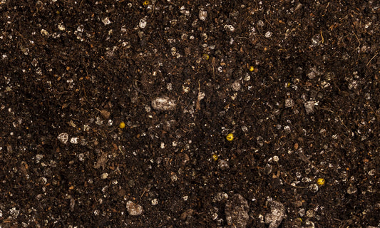 Living Garden Soil - 1 Gallon