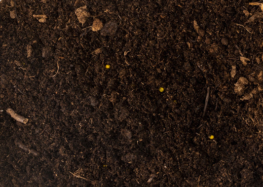 Living Sod & Grass Seed Soil - 1 Gallon
