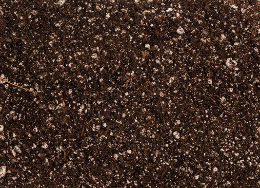 Living Potting Soil - 1 Gallon
