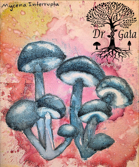 Mushroom Art Aria 002
