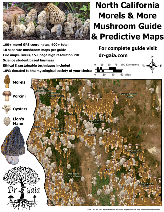 California (North) Morels & More Mushroom Guide & Predictive Maps