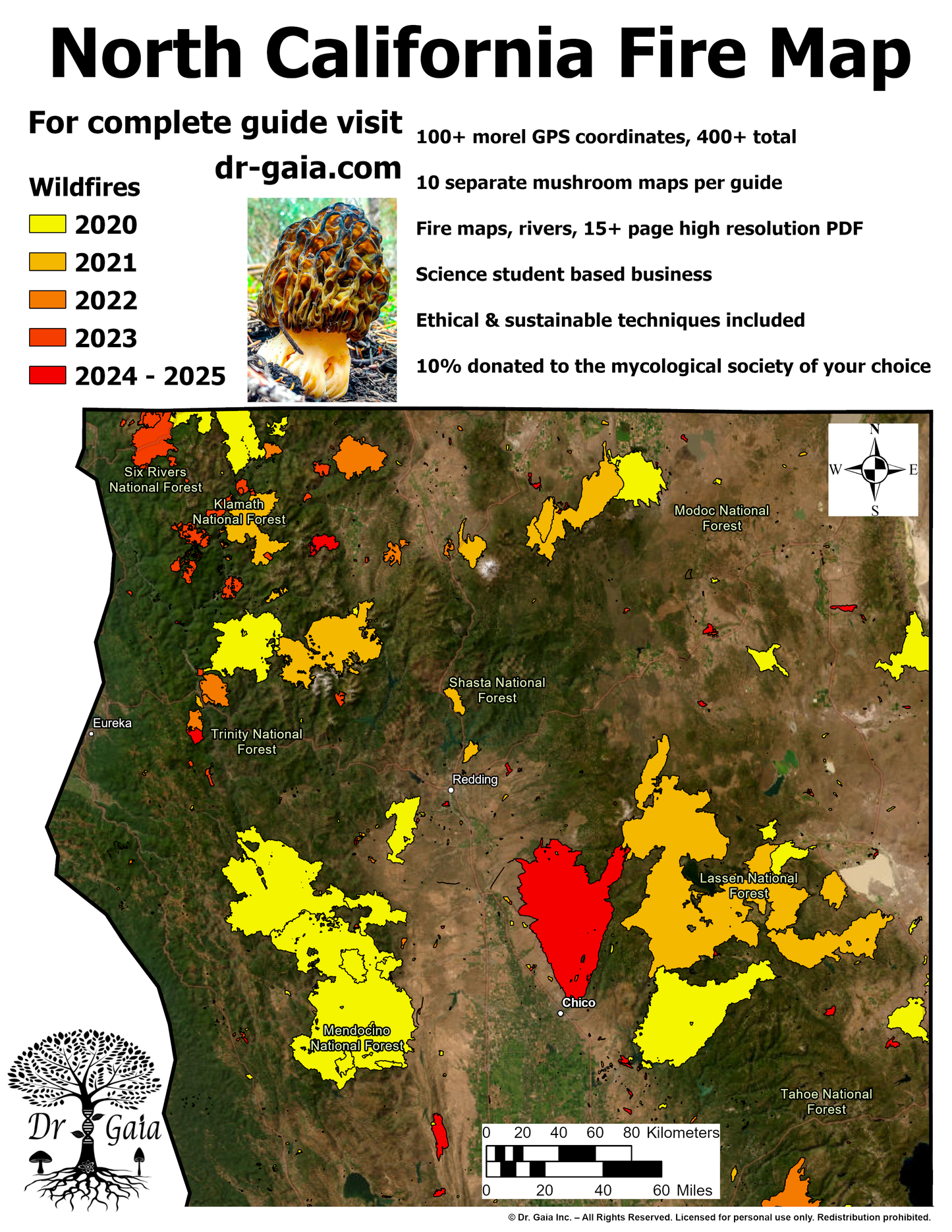 California (North) Morels & More Mushroom Guide & Predictive Maps