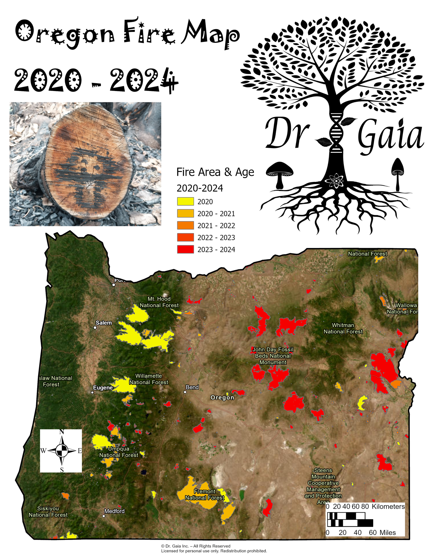 Oregon Morels & More Mushroom Guide & Predictive Maps