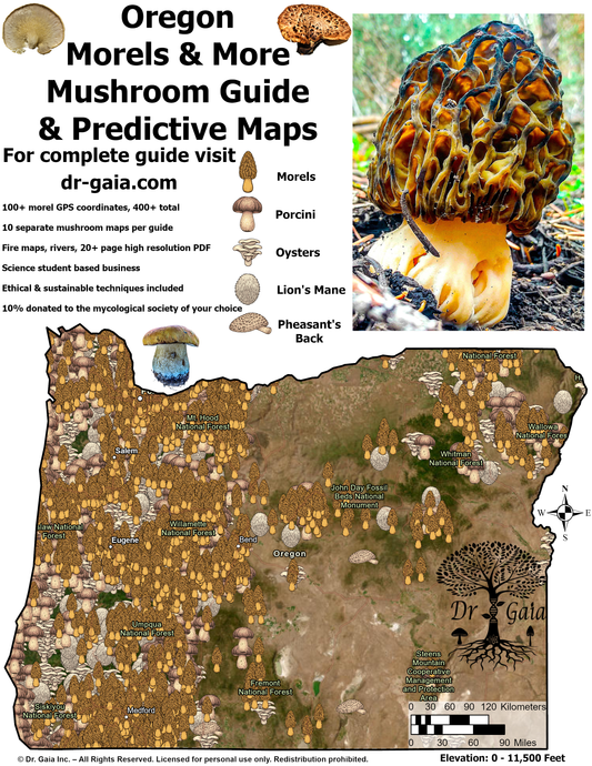 Oregon Morels & More Mushroom Guide & Predictive Maps