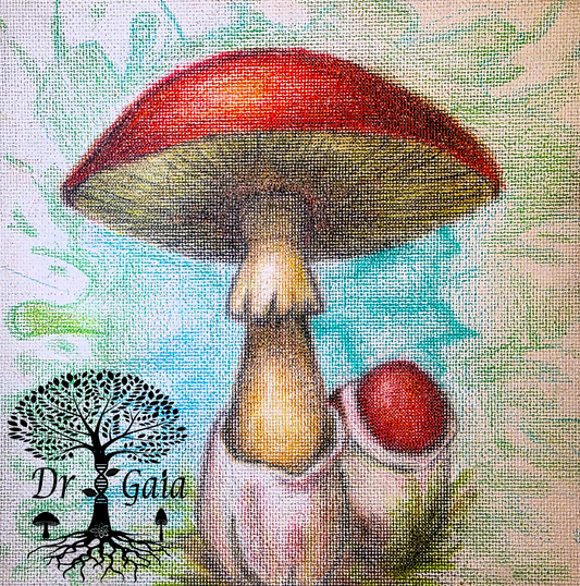Mushroom Art Aria 001