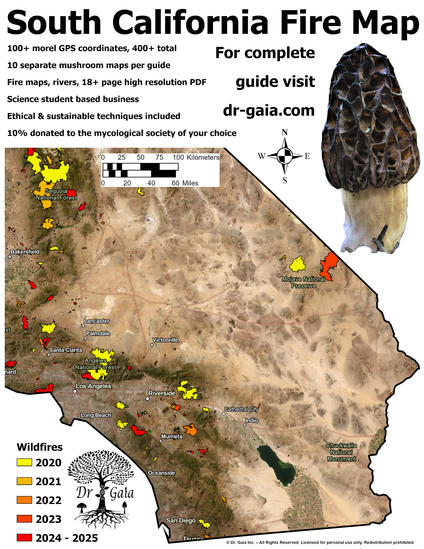 California (Central & South) Morels & More Mushroom Guide & Predictive Maps
