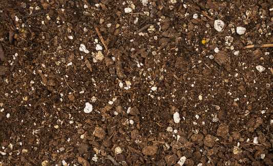 Living Tree & Shrub Soil - 1 Gallon