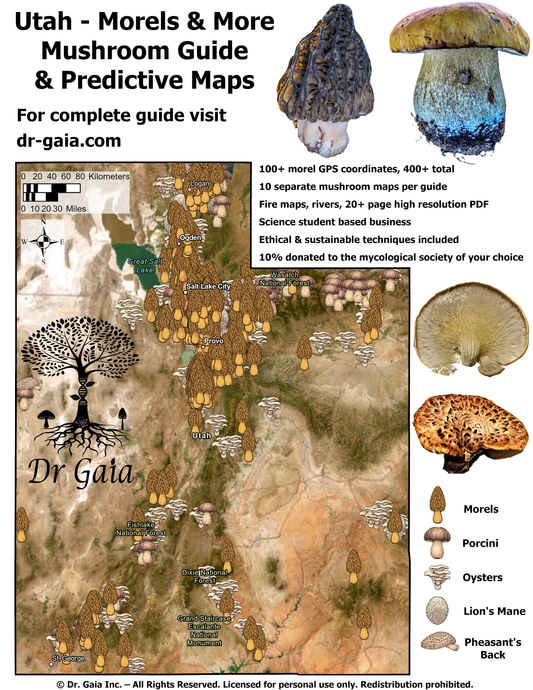 Utah Morels & More Mushroom Guide & Predictive Maps
