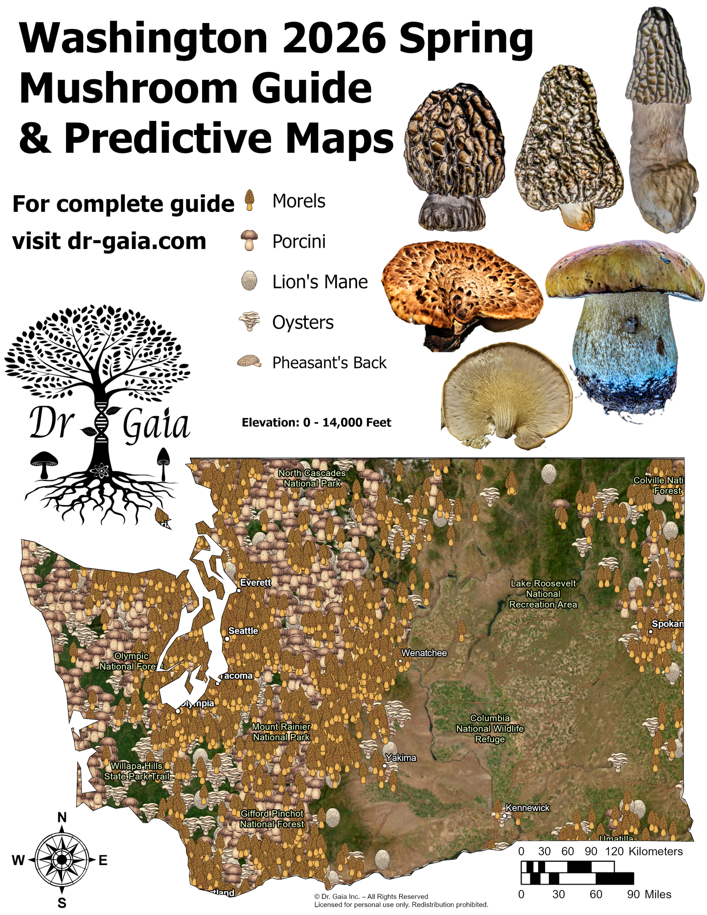 Washington 2026 Spring Mushroom Guide and Predictive Maps