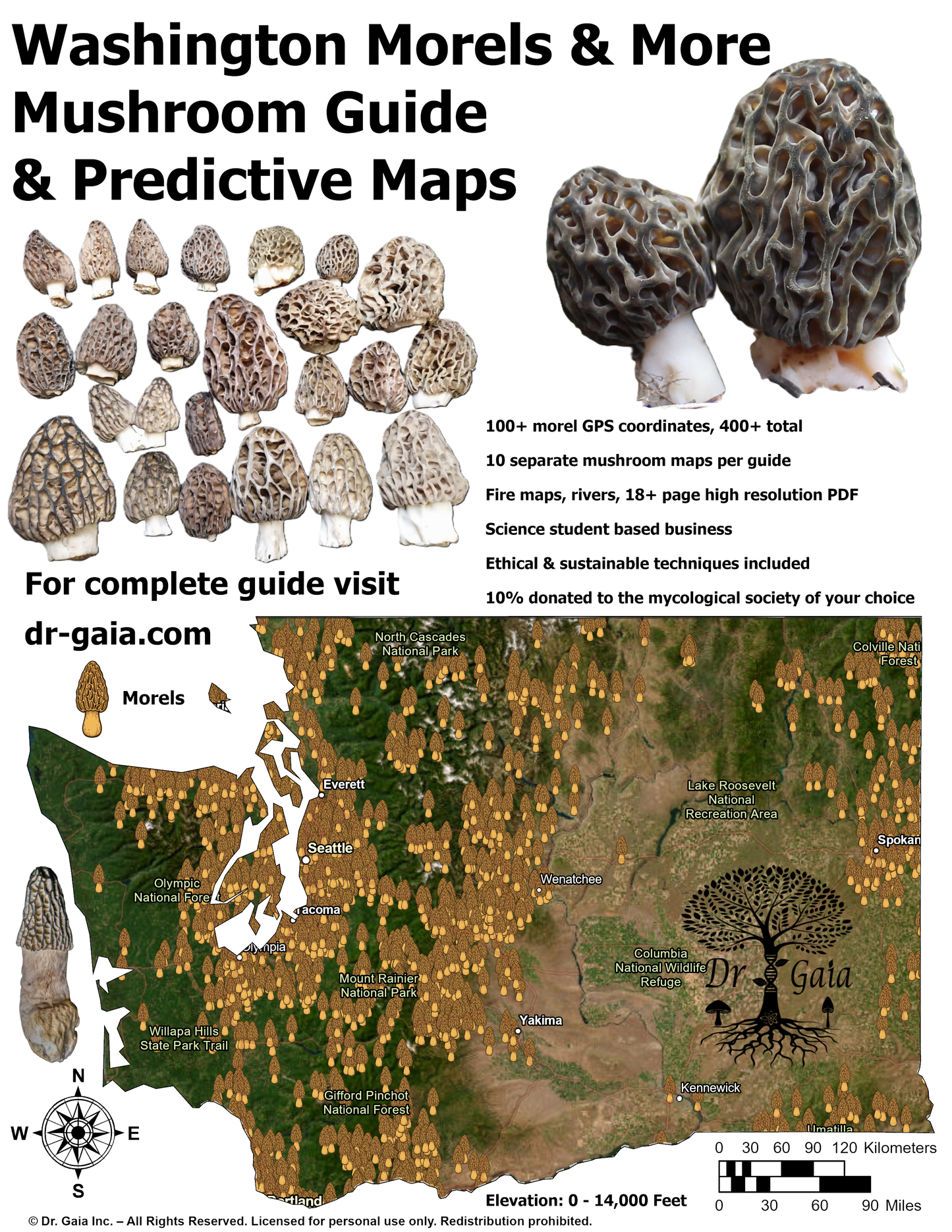 Washington Morels & More Mushroom Guide & Predictive Maps