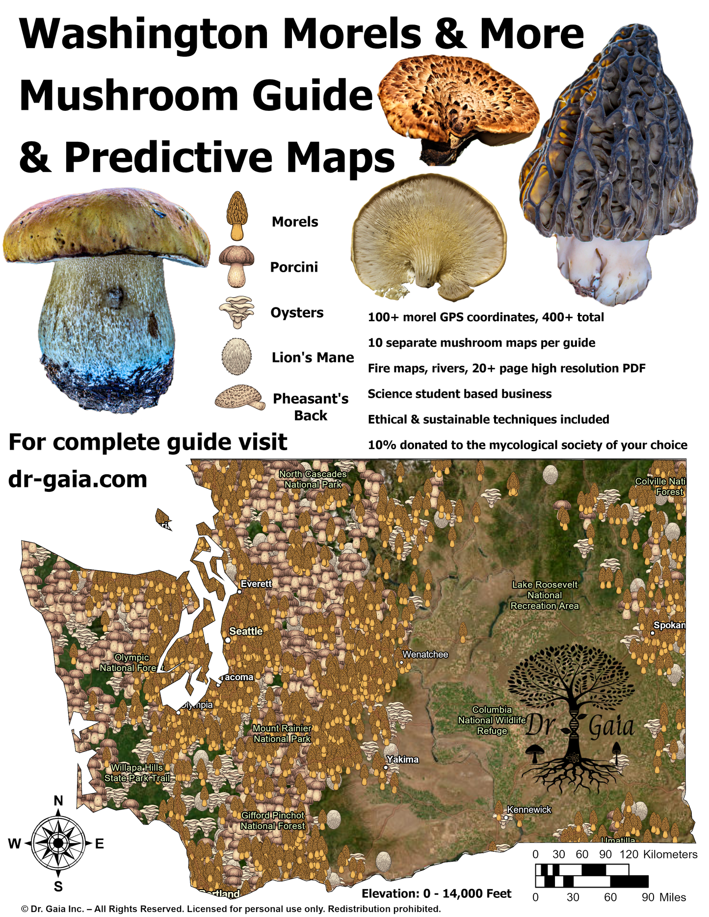 Washington Morels & More Mushroom Guide & Predictive Maps