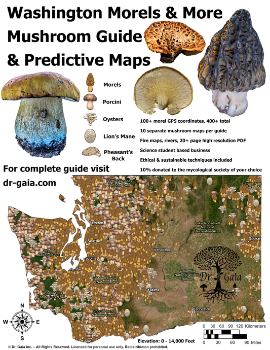 Washington Morels & More Mushroom Guide & Predictive Maps